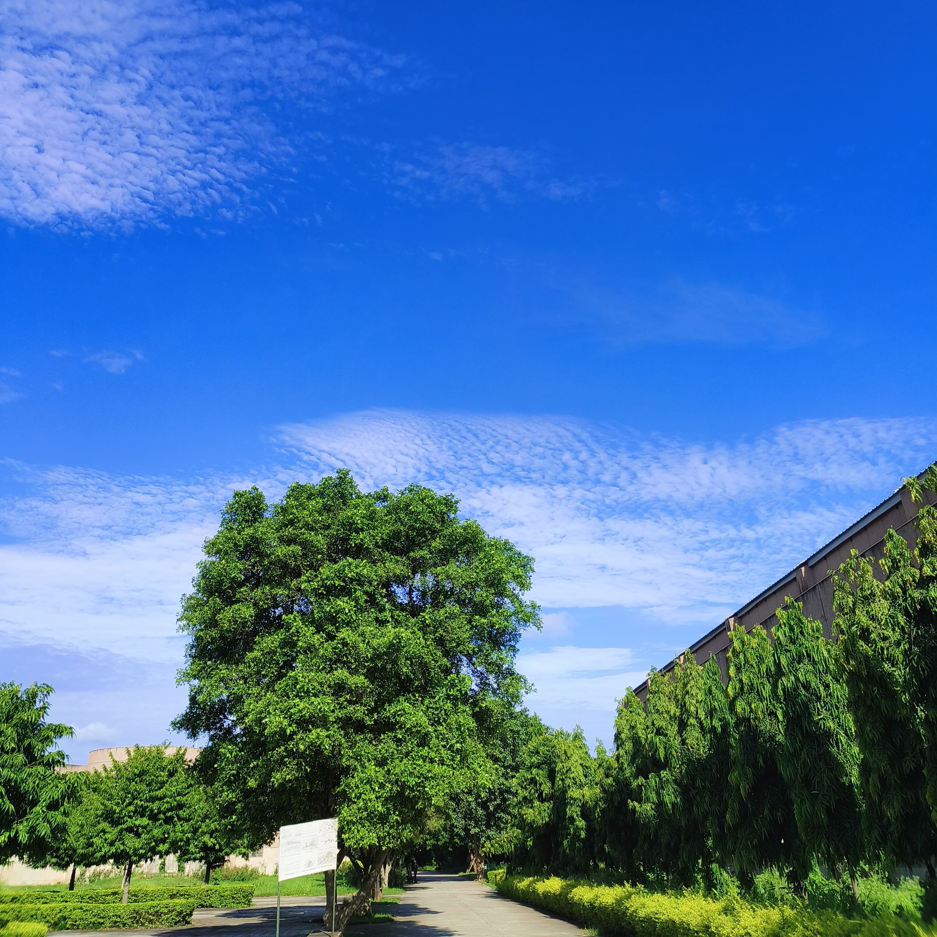 On How We Sabotage Ourselves