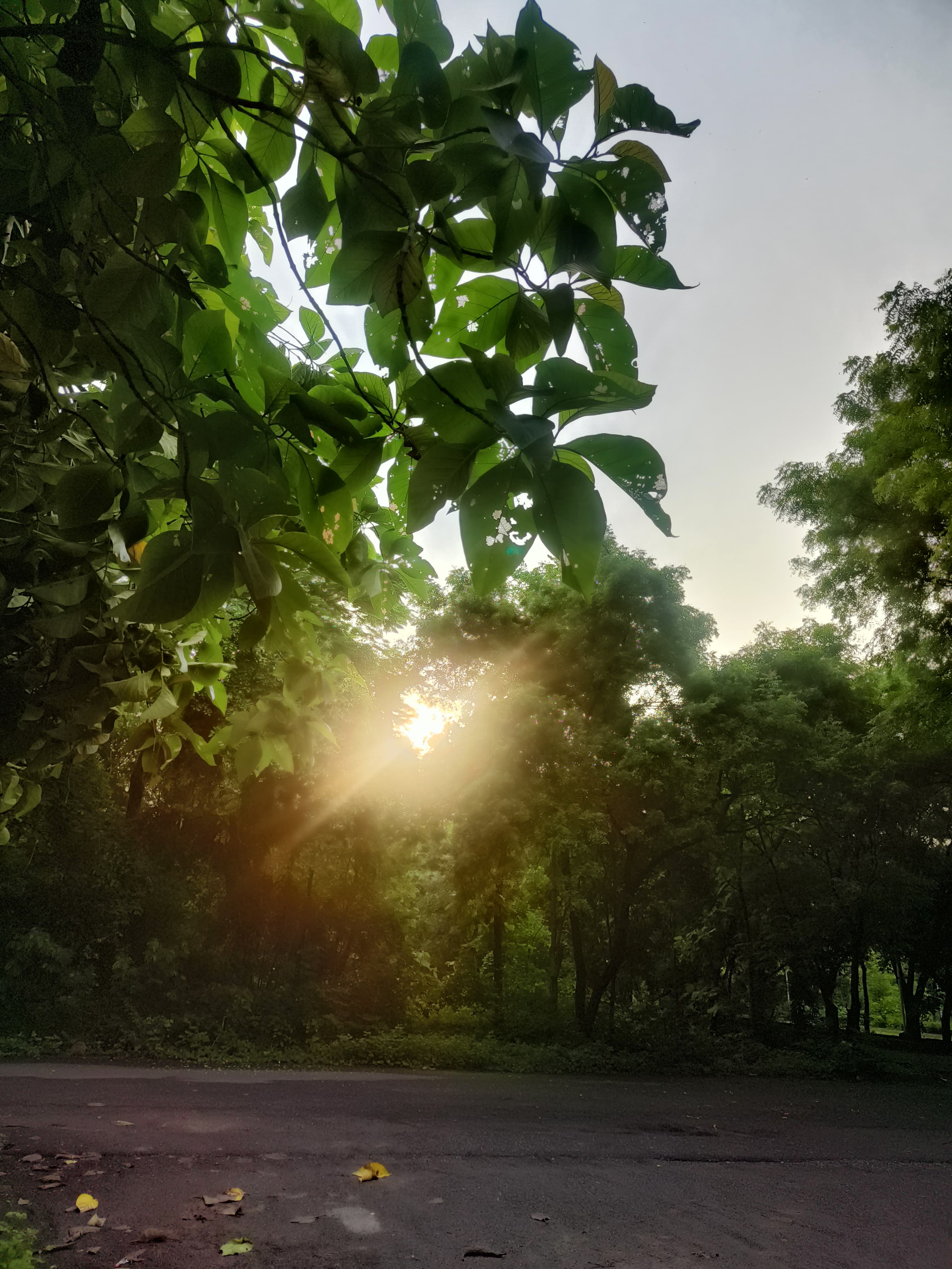 What Being Yourself Really Means?