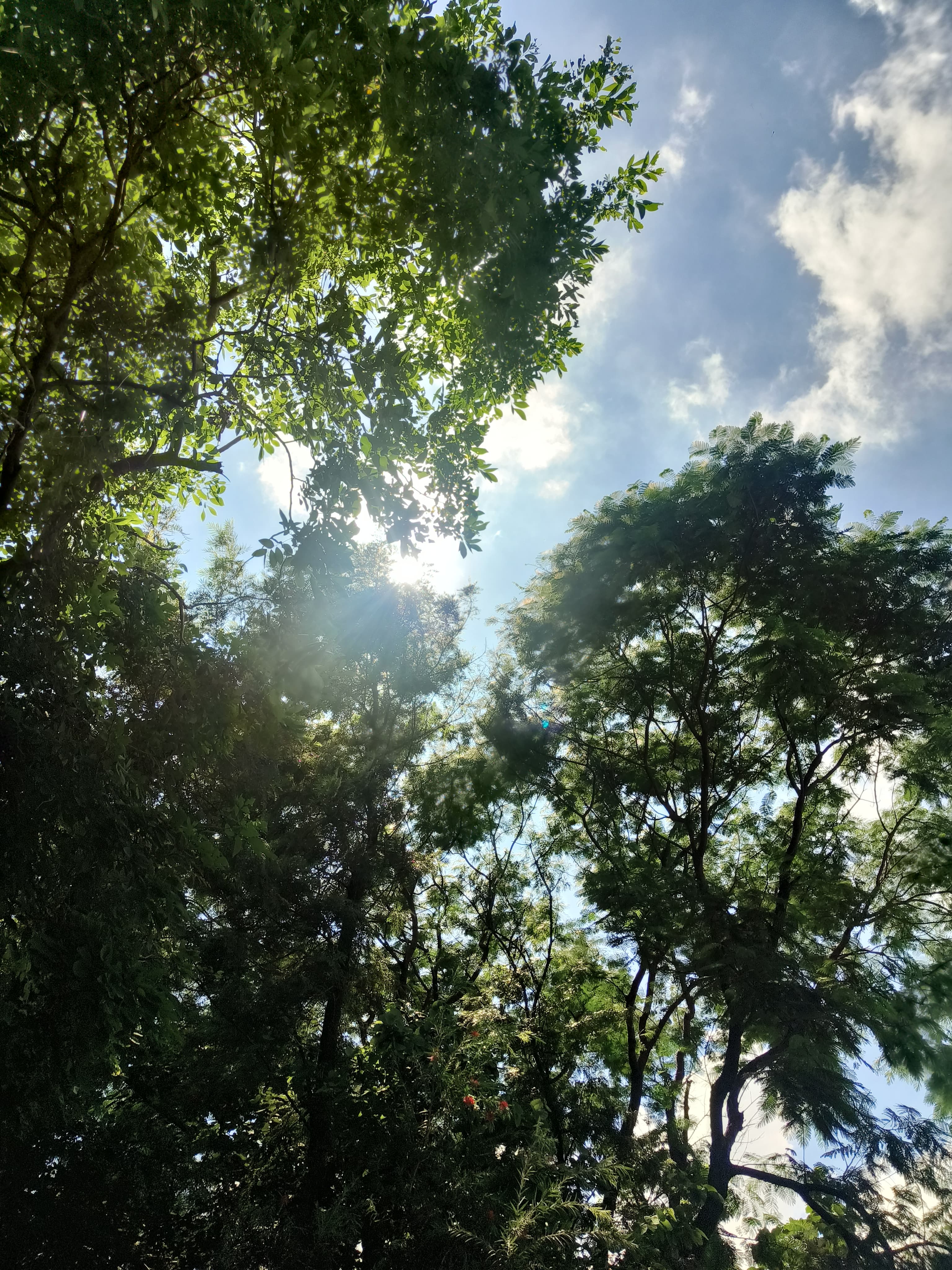 Look How Beautiful My Country Is Looking Right Now!