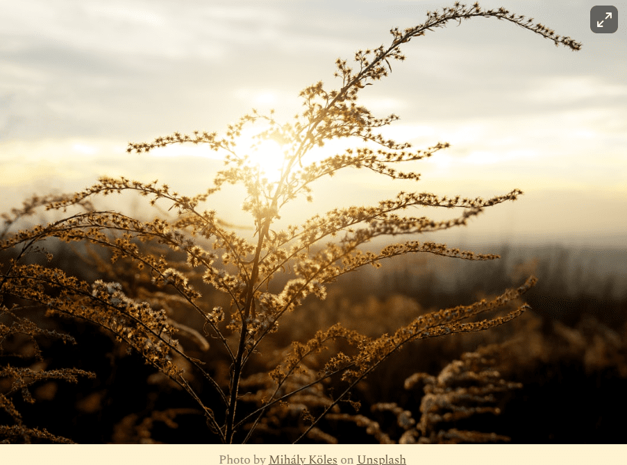 Seeing God’s Eternal Perspective