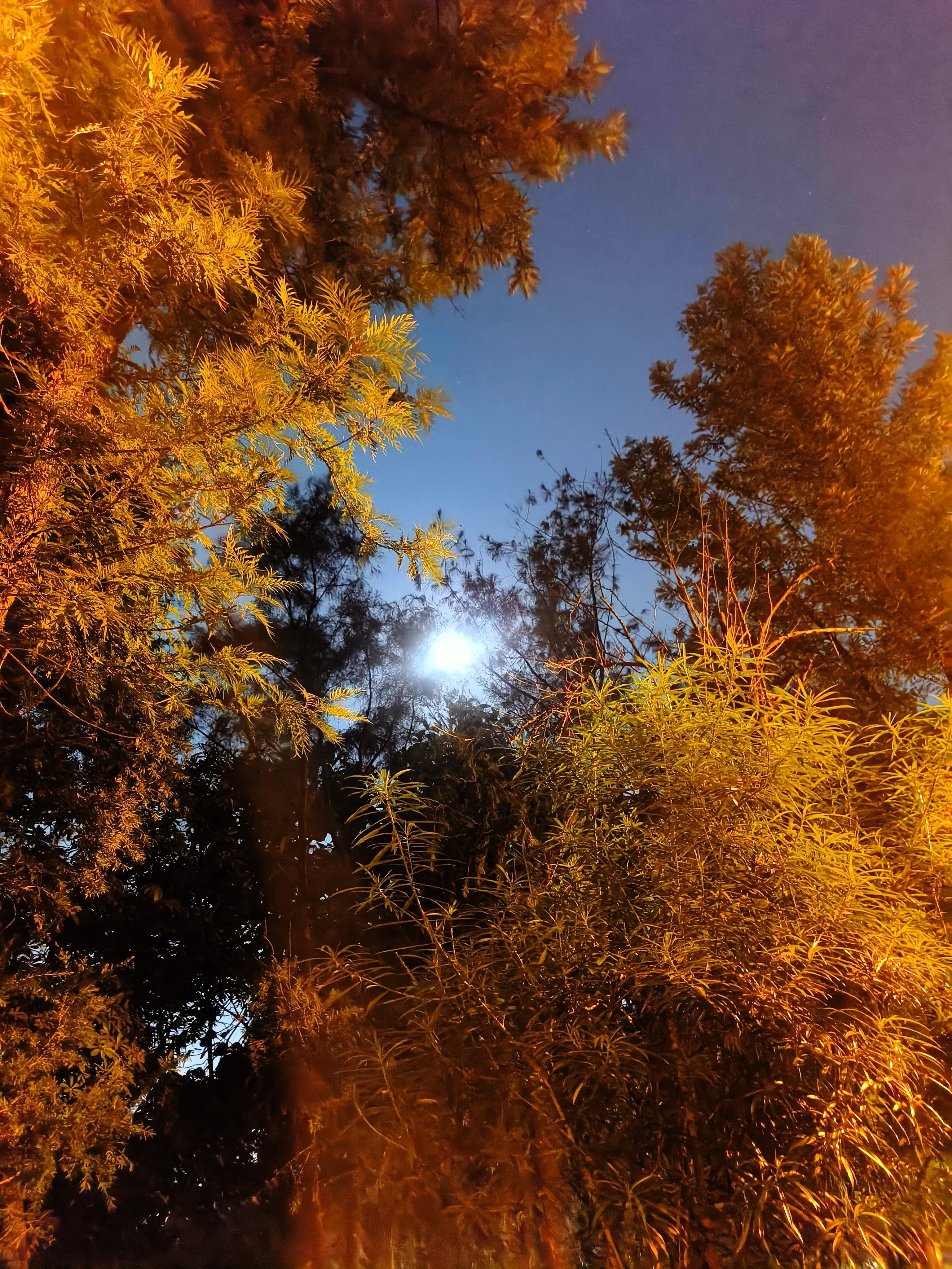 Things To Keep In Mind When You Are In A Dark Place