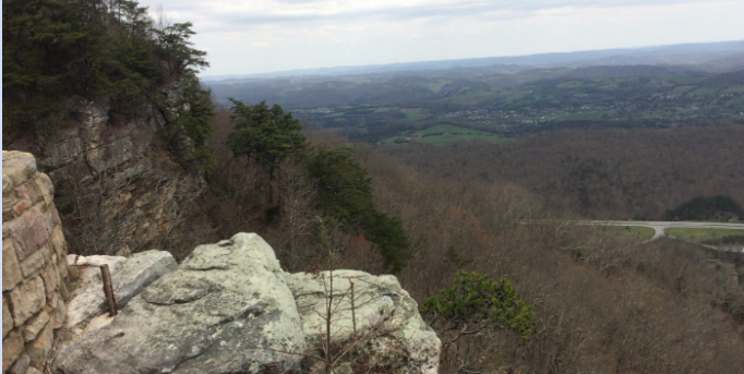 The Sage Sees Reality as It Really Is