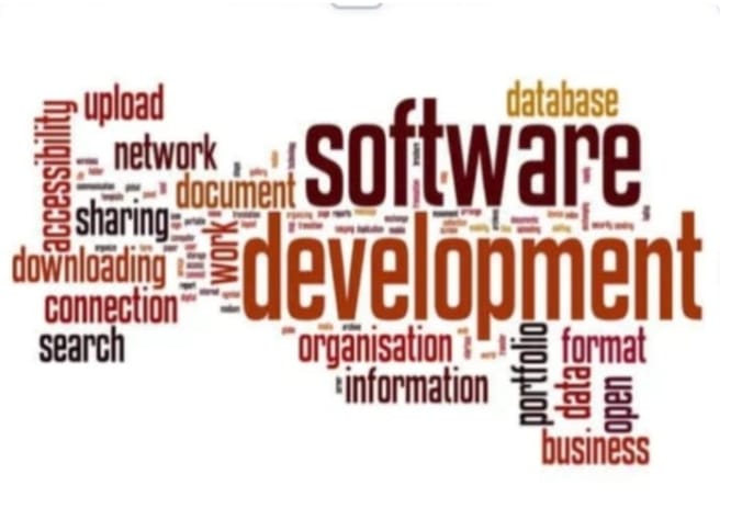 The image is a word cloud focused on the theme of software development. The largest and most prominent words are “software” and “development”, indicating the main topic. Other related words appearing in varying sizes include “database,” “organisation,” “information,” “format,” “upload,” “network,” “sharing,” “downloading,” “connection,” “accessibility,” “data,” “document,” and “business.” The arrangement and size of words visually represent their importance or frequency in the context of software development.