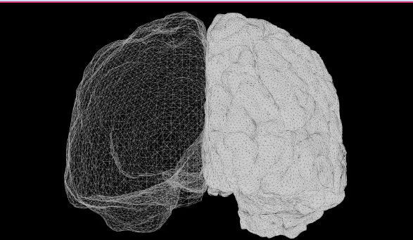 Top 10 Brain-Reboot Secrets Backed by Neuroscience