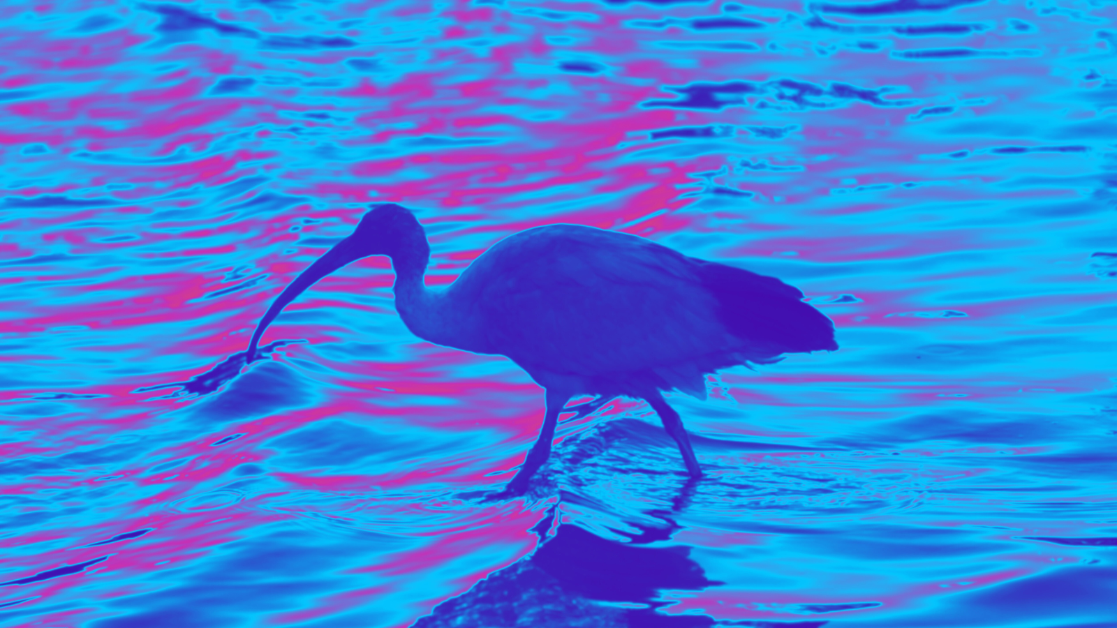 The One Short Story Collection That’ll Have You Texting Your Book BFF at 2 A.M.